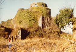 Dinefwr castle